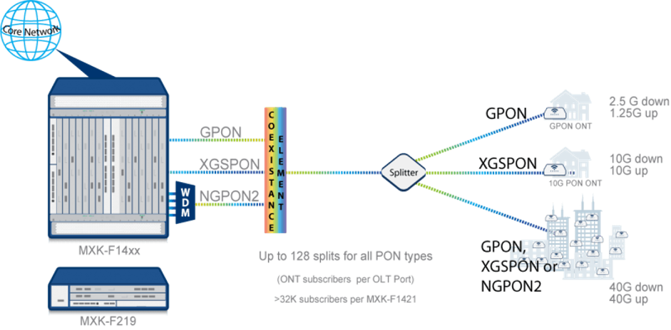 DZS Topology